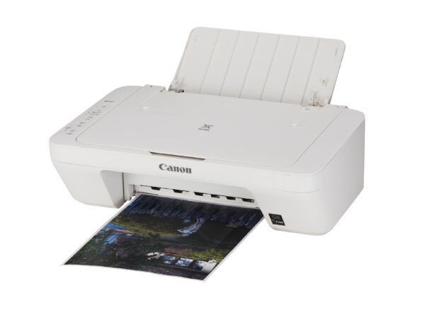 Impresora multifunción Canon MG2522 - Imagen 2